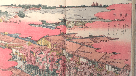 Hokusai Image