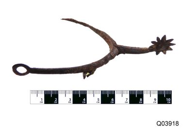 rowel spur with dragon